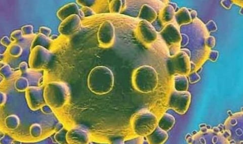 சூப்பர் ஸ்ப்ரெடர்ஸ்: கடந்த மற்றும் தற்போதைய சுவாச நோய்க்குறி கரோனா வைரஸ்