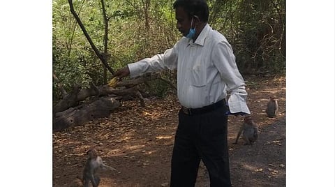 ஊரடங்கால் உணவுக்கு தவிக்கும் அழகர்மலை குரங்குகள்: உணவளித்து உதவும் துணை ஆட்சியர்