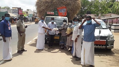 பூம் பூம் மாடுகளுக்கு தீவனம் வழங்கிய மதுரை பாஜகவினர்