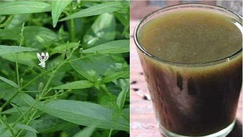 கரோனா வைரஸும் கபசுரக் குடிநீரும்