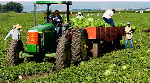 விவசாயிகள் விளைபொருட்களை எடுத்துச் செல்வதில் உள்ள பிரச்சினைகளைக் களைய அரசின் சலுகைகள்: முதல்வர் பழனிசாமி அறிவிப்பு