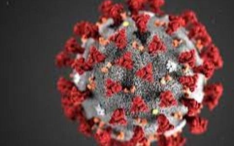 பிரதிநிதித்துவப் படம்