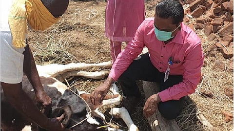 முழு ஊரடங்கில் செல்லப் பிராணிகளுக்கு, கால்நடைகளுக்கு அவசர சிகிச்சை தேவையா?- வீடு தேடி வரும் மருத்துவர்களுக்கு கால்நடை துறை ஏற்பாடு