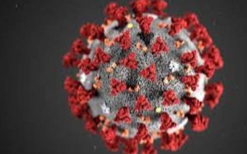 பிரதிநிதித்துவப் படம்