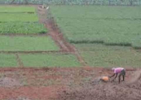 பிரதிநிதித்துவப் படம்