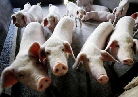 கோப்புப்படம்