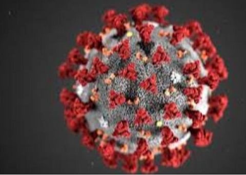 பிரதிநிதித்துவப் படம்