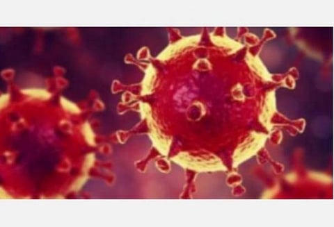 கள்ளக்குறிச்சி மாவட்டத்தில் 31 கர்ப்பிணிகளுக்கு கரோனா தொற்று?- மாவட்ட நிர்வாகம் அலட்சியம் என கள்ளக்குறிச்சி எம்பி குற்றச்சாட்டு