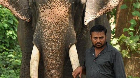 பிரபு சாலமன் பிறந்த நாள் ஸ்பெஷல்: மக்களின் மதிப்பைப் பெற்ற படைப்பாளி