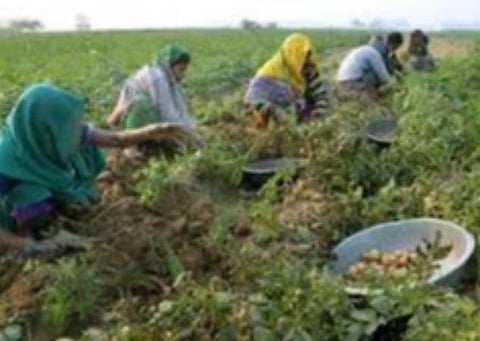 பிரதிநிதித்துவப் படம்