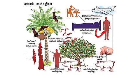 மனித அலட்சியத்துக்கு கரோனா விடுக்கும் எச்சரிக்கை சமிக்ஞை
