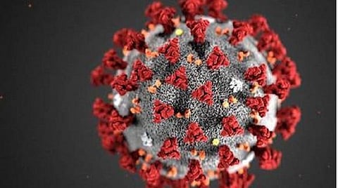 கரோனாவால் பாதிக்கப்பட்ட கீழக்கரை மூதாட்டி மரணம்: ராமநாதபுரம் மாவட்டத்தில் கரோனாவால் முதல் பலி