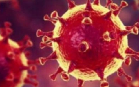 கோவில்பட்டியில் 2 பேருக்கு கரோனா தொற்று உறுதி: இருவரும் சென்னையில் இருந்து வந்தவர்கள்