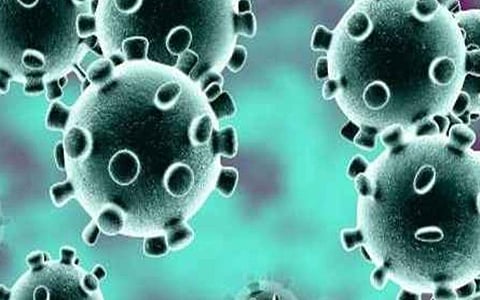 சிவகங்கை மாவட்டத்தில் 21-வது நாளாக கரோனா தொற்று இல்லை: மொத்தம் 3,368 பேரிடம் பரிசோதனை