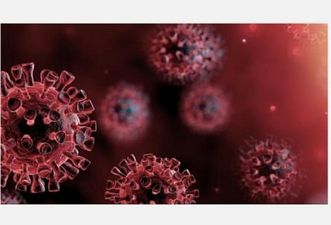 நாட்கள் செல்லச் செல்ல கரோனா வைரஸின் தீவிரம் குறையும்: இத்தாலி மருத்துவ நிபுணர்கள் தகவல்