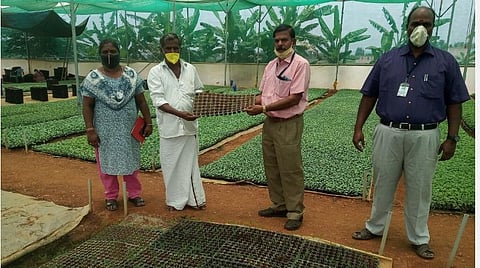 ஓசூர் வட்டத்தில் மானாவாரி துவரை சாகுபடியில் ஈடுபட்டுள்ள விவசாயிக்கு துவரை குழித்தட்டு நாற்றுகளை வழங்கும் ஓசூர் வேளாண் உதவி இயக்குனர் ஆர்.மனோகரன். உடன் வேளாண் அலுவலர்கள்.