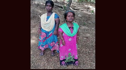 விசித்ரா, சித்ரா