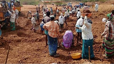 சிவகங்கையில் நூறு நாள் வேலைத் திட்டத்தில் ஊதியம் வழங்காததால் தொழிலாளர்கள் அதிருப்தி