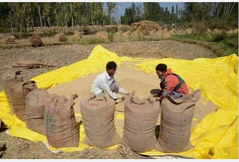 தமிழகத்துக்கு அரிசி, கோதுமை அளிப்பதிலும் மத்திய அரசு பாரபட்சம்: இதுவரை 5.28 லட்சம் மெட்ரிக் டன் தானியங்கள் மட்டுமே ஒதுக்கீடு