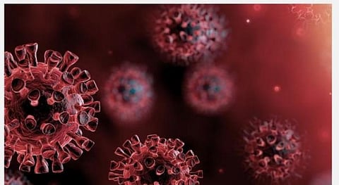 கரோனா வைரஸ் பலி; குமரியில் இரண்டாக அதிகரிப்பு