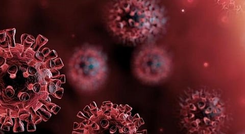 மும்பையில் இருந்து தூத்துக்குடி வந்த 10 பேருக்கு கரோனா தொற்று உறுதி