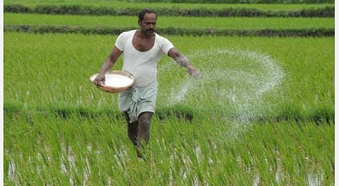 உரங்களை அதிக விலைக்கு விற்றால் உரிமம் ரத்து ; மதுரை மாவட்ட வேளாண் இணை இயக்குநர் தகவல்