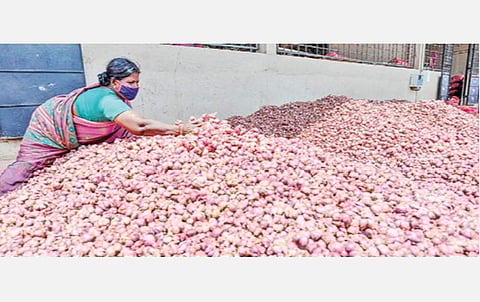 திண்டுக்கல் வெங்காய மார்க்கெட்டில் விற்பனைக்கு குவித்து வைக்கப்பட்டுள்ள சின்ன வெங்காயம். படம்: பு.க.பிரவீன்