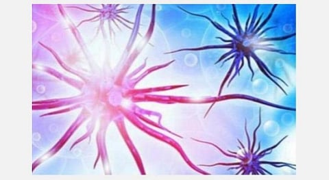 நெல்லை மாவட்டத்தில் ஒரே நாளில் 40 பேருக்கு கரோனா பாதிப்பு