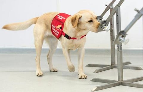 கோப்புப்படம்