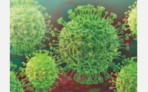 ஜெனீவாவில் உலக சுகாதார அமைப்பு மாநாடு தொடக்கம்; கரோனா வைரஸ் பரவல் குறித்து விசாரணை நடத்த வேண்டும்: இந்தியா உள்ளிட்ட 120-க்கும் மேற்பட்ட நாடுகள் வலியுறுத்தல்