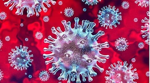 நெல்லை மாவட்டத்தில் மேலும் 20 பேருக்கு கரோனா