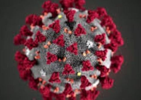 பிரதிநிதித்துவப் படம்