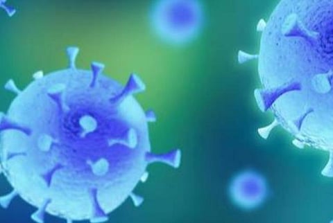 பிரதிநிதித்துவப் படம்