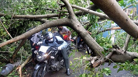 ஒடிசா மற்றும் மேற்கு வங்கத்திற்கு மத்திய குழு: புயல் பாதிப்பு குறித்து ஆய்வு செய்ய நடவடிக்கை