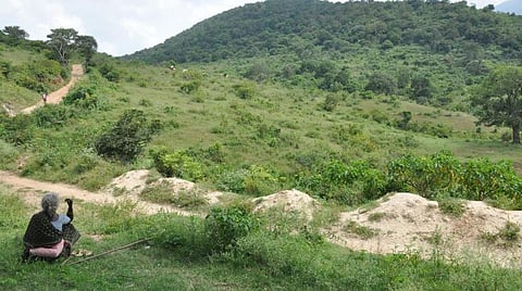 மதியம் புகார்; மாலையில் தீர்வு!- மாணவர்களின் எல்லைப் பிரச்சினையைத் தீர்த்த கோவை ஆட்சியர்