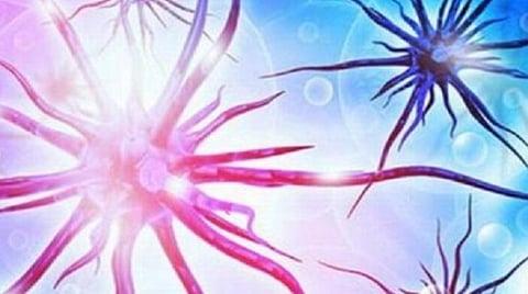 தென்காசி மாவட்டத்தைச் சேர்ந்த மேலும் 2 பேருக்கு கரோனா