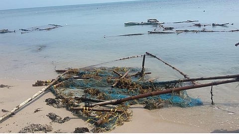 ராமேசுவரம் அருகே முனைக்காட்டில் கரை ஒதுங்கிய பாசி வளர்ப்பு கூண்டுகள்