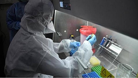 நெல்லை மாவட்டத்தில் 19 நாட்களுக்குப்பின் கரோனா பாதிப்பு இல்லை