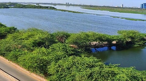 60 நாள் ஊரடங்கில் தன்னைத் தானே சுத்தப்படுத்திக் கொண்ட யமுனை