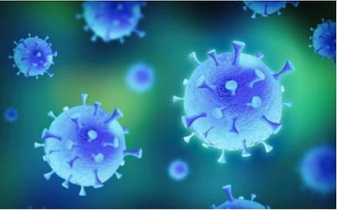 நெல்லை மாவட்டத்தில் ஒரே நாளில் 32 பேருக்கு கரோனா பாதிப்பு: ஏறுமுகத்தில் இருப்பதால் மக்கள் அச்சம்