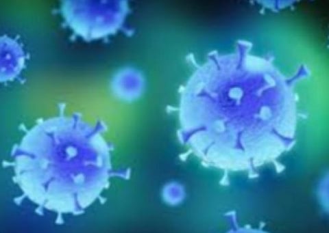 பிரதிநிதித்துவப் படம்.