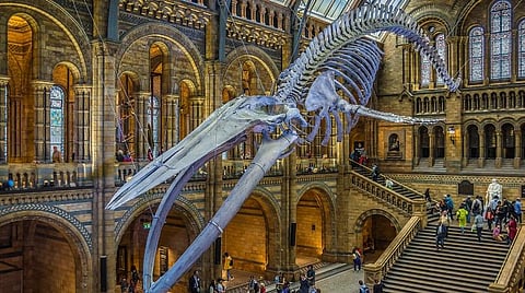 அருங்காட்சியகங்களின் எதிர்காலம் என்னவாகும்?