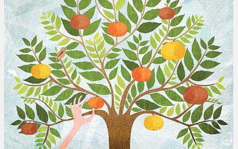 சூஃபி கதை: சொர்க்கத்தின் கனிகள்