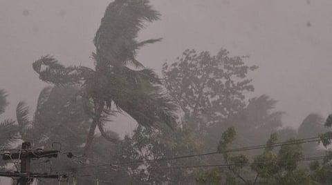 கடந்த சில நாட்களாக திருநெல்வேலி மற்றும் அதன் சுற்றுவட்டார பகுதிகளில் வாட்டி வதைத்த அக்னி நட்சத்திர வெயிலின் வெப்பத்தில் பொதுமக்கள் அவதிப்பட்டு வந்த வேளையில் இன்று சூறைக்காற்றோடு , இடியும் மின்னலுடன் கொட்டி தீர்த்தது மழை. காற்றில் மரங்கள் மரண ஆட்டம் ஆடிய காட்சி இது .. இடம். பாளையங்கோட்டை .. படங்கள் . மு. லெட்சுமி அருண் .