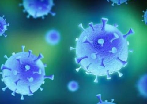 பிரதிநிதித்துவப் படம்.