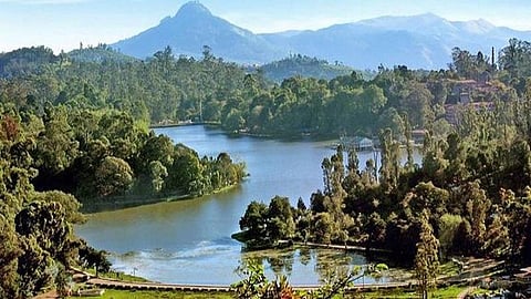 தடையை மீறி கொடைக்கானல் வரும் சுற்றுலா பயணிகள்: கட்டிடத்திற்கு சீல், ஏழு பேர் மீது வழக்கு