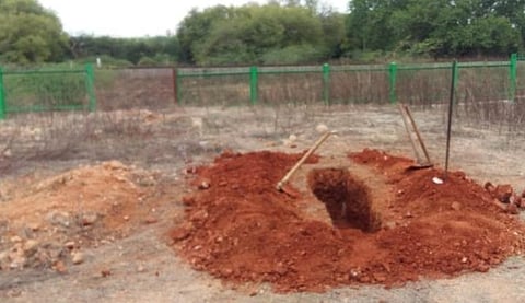 ஆதிச்சநல்லூர் பரம்பு பகுதியில் மூதாட்டி உடலை புதைக்க தோண்டப்பட்ட குழி.