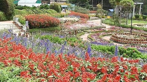 கொடைக்கானலுக்கு சுற்றுலாபயணிகளுக்கு செல்ல தொடரும் தடை: வாழ்வாதாரத்தை காக்க வழியின்றி தவிக்கும் மக்கள்