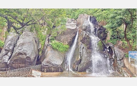 சாரல் காலம் தொடங்கியதால் குற்றாலம் அருவிகளில் நீர் வரத்து ஏற்பட்டுள்ளது. படம்: த.அசோக் குமார்