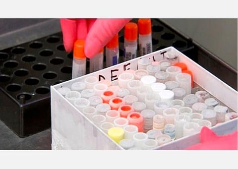 அது இருக்கிறது, ஆனால் நமக்கு சம்பந்தமில்லை என்று நினைக்க வேண்டாம்..கரோனா வைரஸின் தீவிரத்தன்மை குறைந்ததாகத் தெரியவில்லை: நிபுணர்கள் எச்சரிக்கை